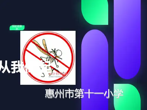 预防登革热安全教育ppt