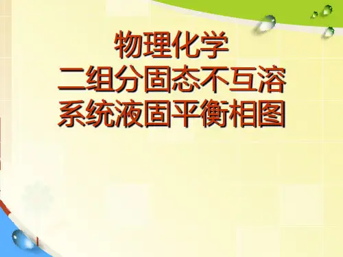 物理化学二组分固态不互溶系统液固平衡相图