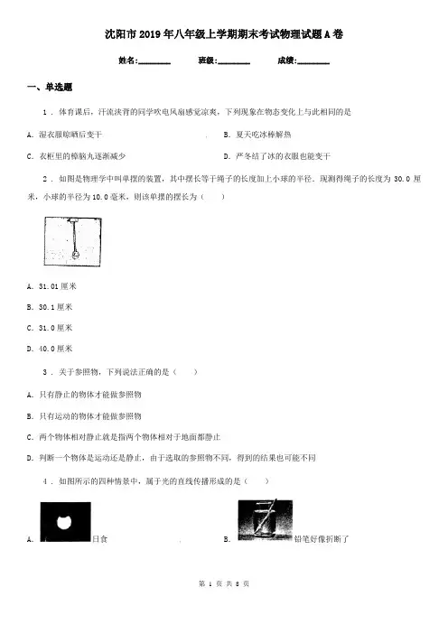 沈阳市2019年八年级上学期期末考试物理试题A卷