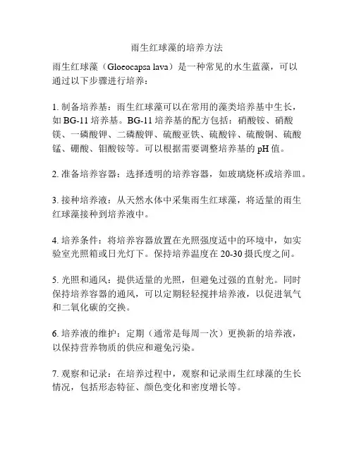 雨生红球藻的培养方法 2