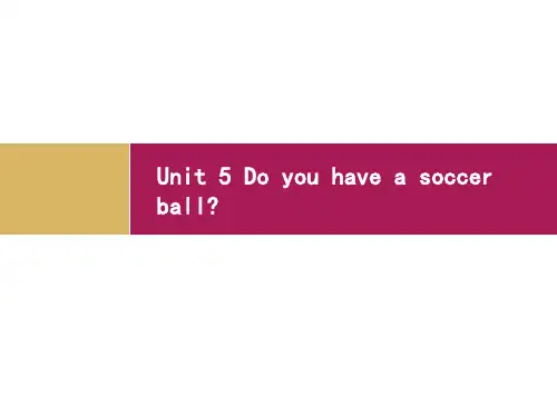 人教版(PEP义务教育版)初一英语七年级上册人教版  unit5 Do you have a soc
