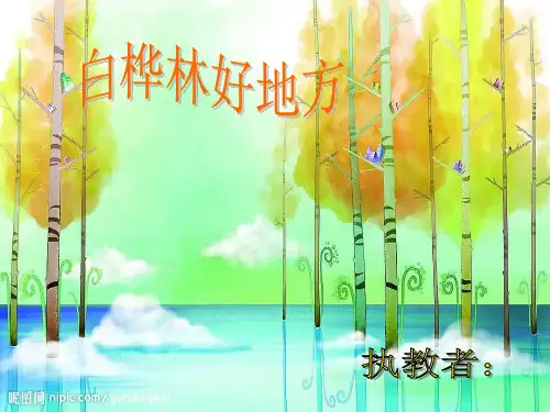 人音版音乐四下《白桦林好地方》课件1