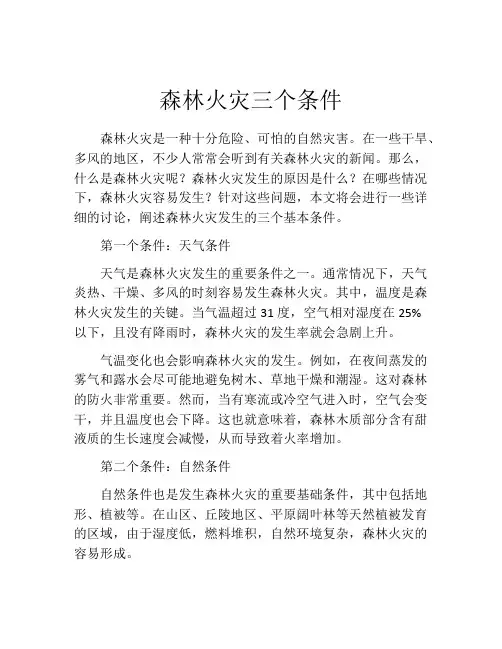 森林火灾三个条件