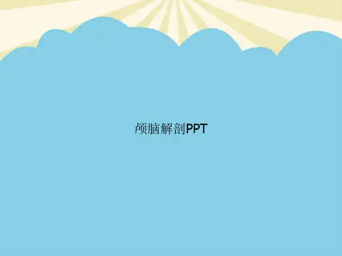 颅脑解剖PPT优质PPT资料