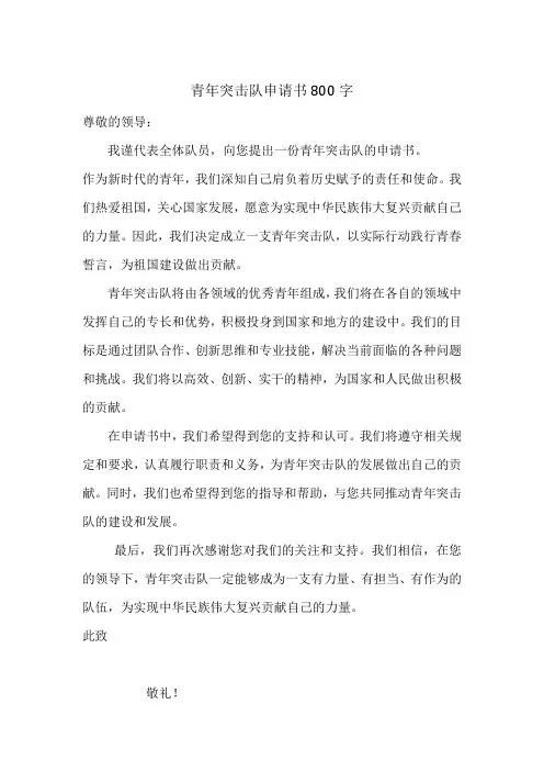 青年突击队申请书800字