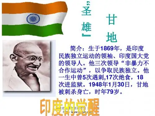 12印度的觉醒