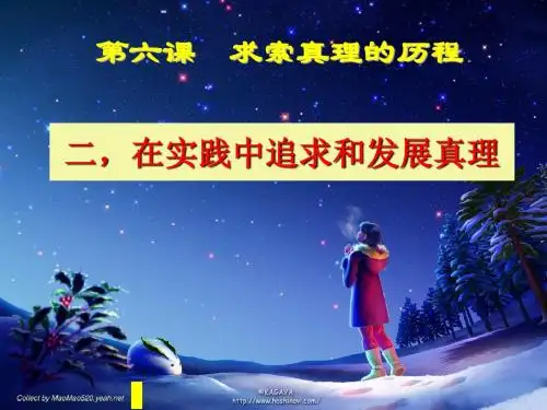 二在实践中追求和发展真理-PPT精品文档