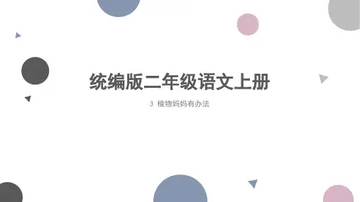 统编版二年级语文上册3植物妈妈有办法 教学课件(共29张PPT)