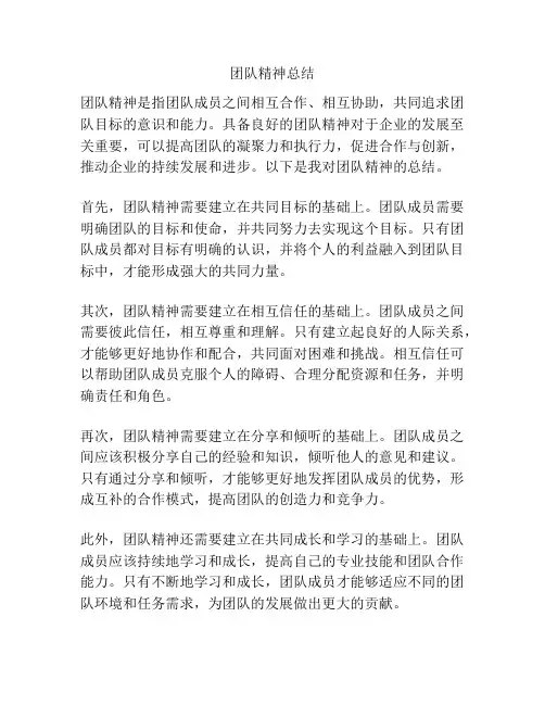 团队精神总结