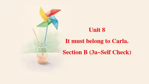 Unit8SectionB(3a-SelfCheck)课件人教版英语九年级全一册