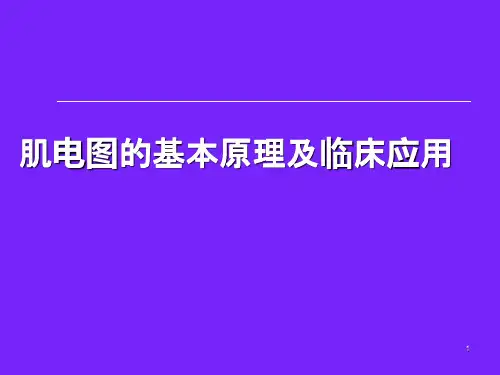 肌电图基本原理ppt课件