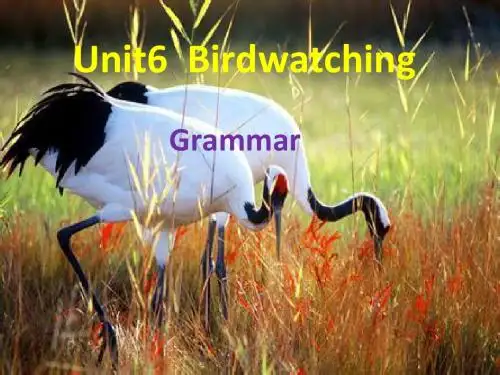 牛津译林版八年级上册(新)Unit6 Grammar 课件1(共16张PPT)