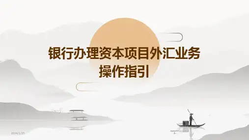 2024版银行办理资本项目外汇业务操作指引