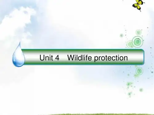 2019版高考英语(课标通用)大一轮复习课件：必修二+Unit+4+Wildlife+protection