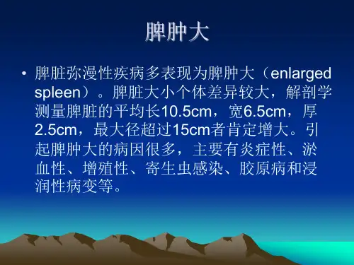 脾脏的正常CT表现