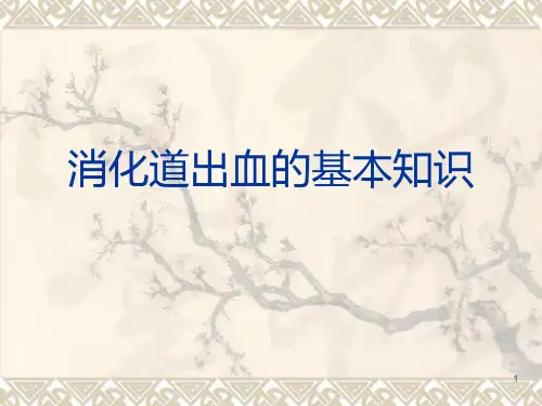 消化道出血PPT课件