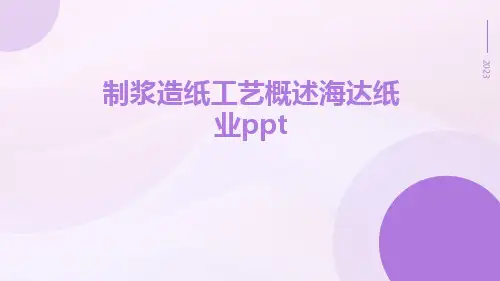 制浆造纸工艺概述海达纸业ppt