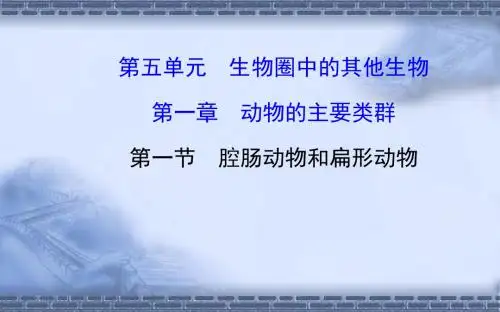 八年级上册第五单元一至七节复习课件