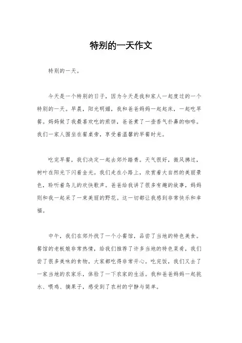 特别的一天作文