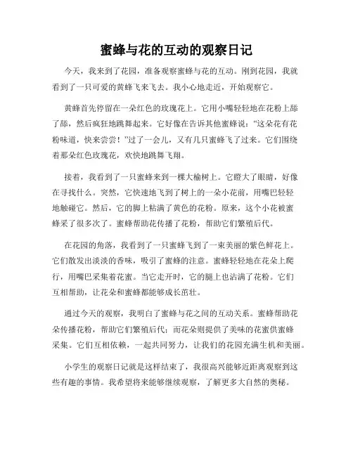 小学三年级作文蜜蜂与花的互动的观察日记