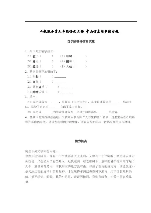 人教版小学六年级语文上册 中山访友同步练习题