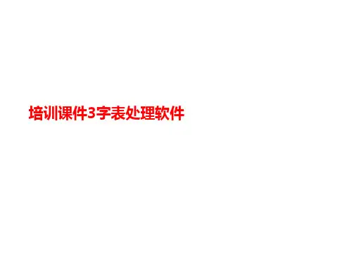 培训课件3字讲义表处理软件