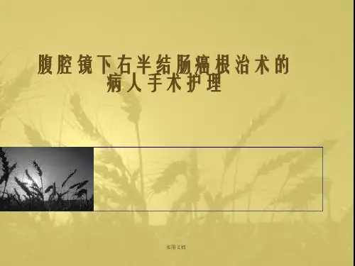腹腔镜下右半结肠癌根治术ppt课件