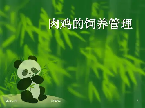 肉鸡的饲养管理PPT课件