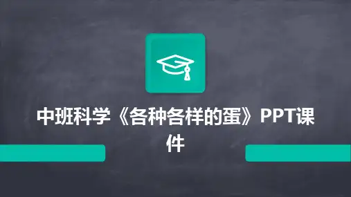 2024中班科学《各种各样的蛋》PPT课件