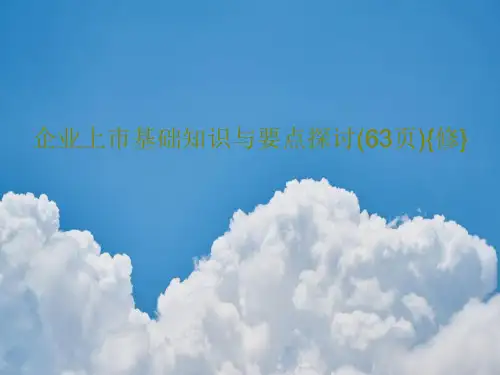 企业上市基础知识与要点探讨(63页){修}PPT文档共65页