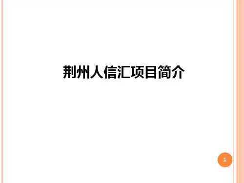 湖北荆州人信汇项目介绍及商业规划方案PPT课件