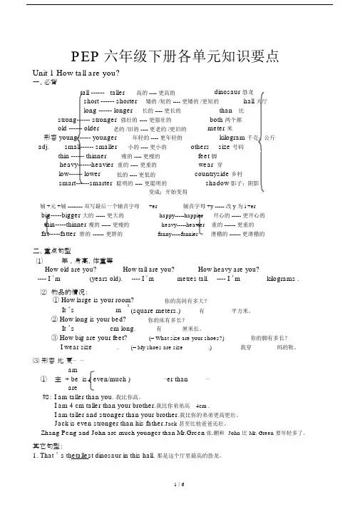 PEP六年级下册各单元知识要点.docx