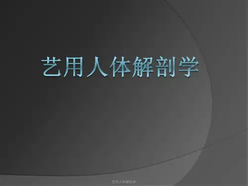 艺用人体解剖学