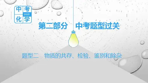 【化学】中考题型过关2：物质的共存、检验、鉴别和除杂
