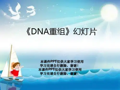 《DNA重组》幻灯片