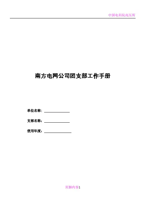 南方电网公司团支部工作手册(印发版)