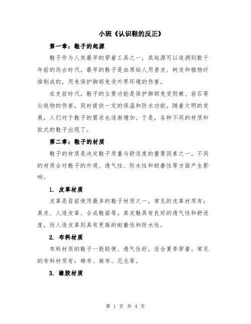 小班《认识鞋的反正》