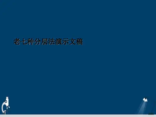 老七种分层法演示文稿