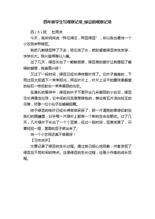 四年级学生写观察记录_绿豆的观察记录