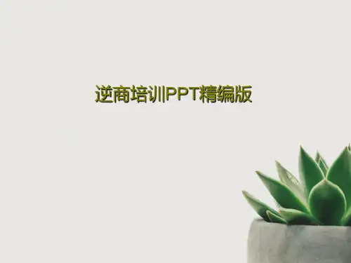 逆商培训PPT精编版共38页