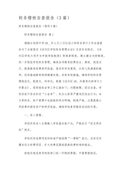 财务稽核自查报告(3篇)