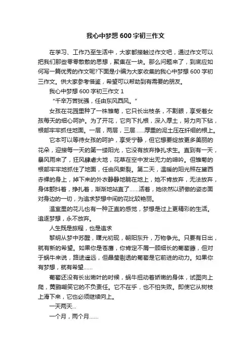 我心中梦想600字初三作文