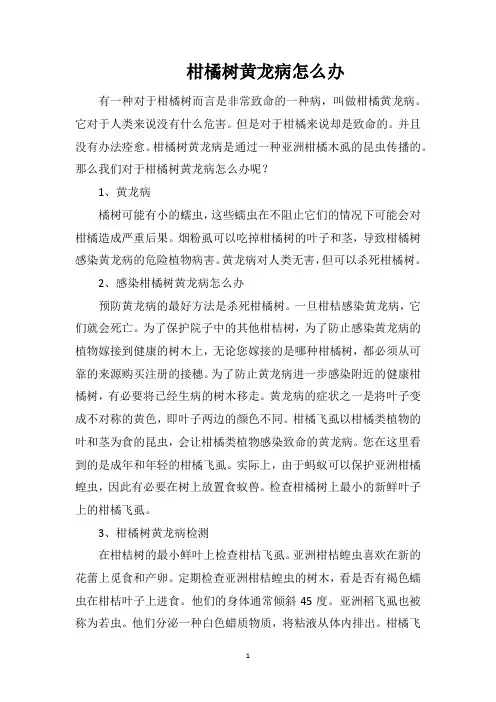 柑橘树黄龙病怎么办