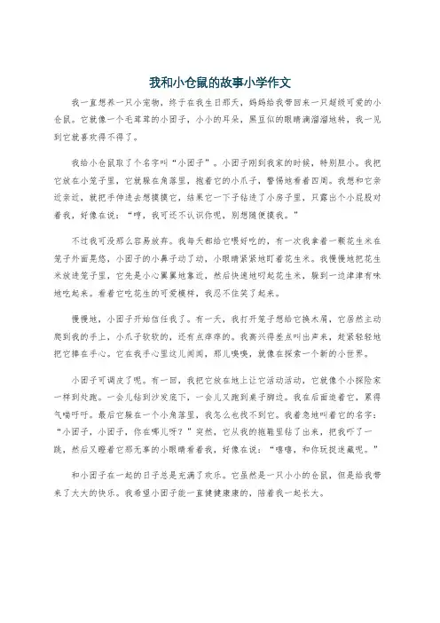 我和小仓鼠的故事小学作文