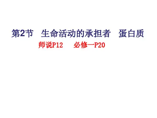 高考生物一轮复习课件： 蛋白质
