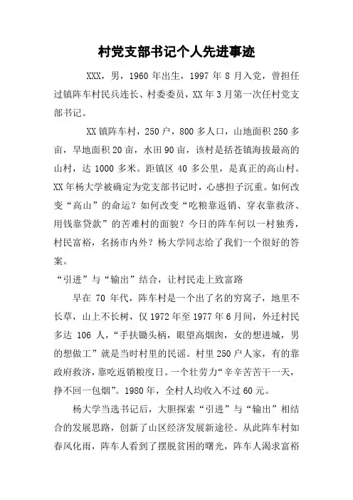 村党支部书记个人先进事迹