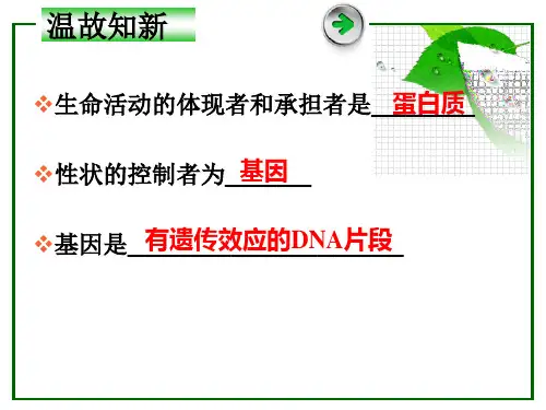 人教生物必修2第4章1基因指导蛋白质的合成(共22张PPT)