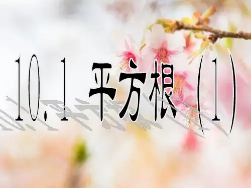 平方根PPT精品课件