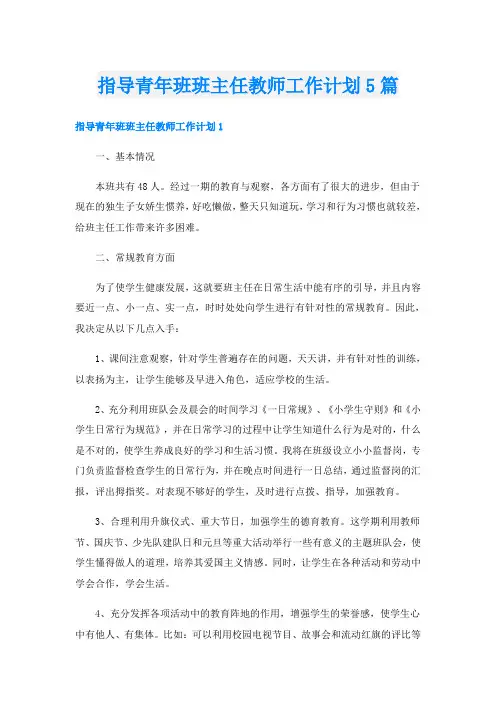 指导青年班班主任教师工作计划5篇