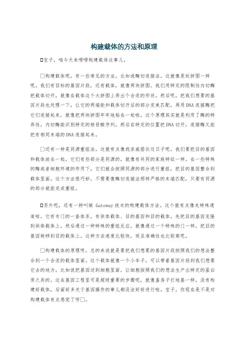 构建载体的方法和原理